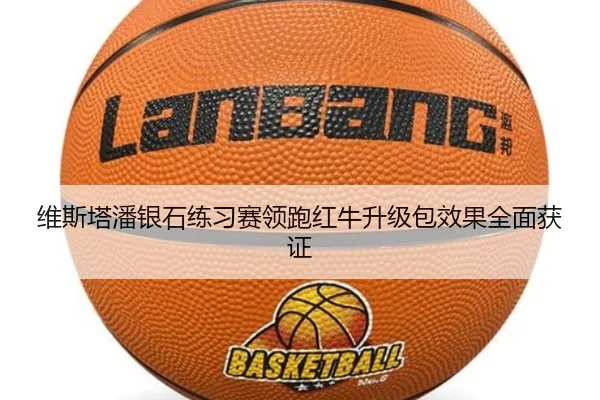 维斯塔潘银石练习赛领跑红牛升级包效果全面获证